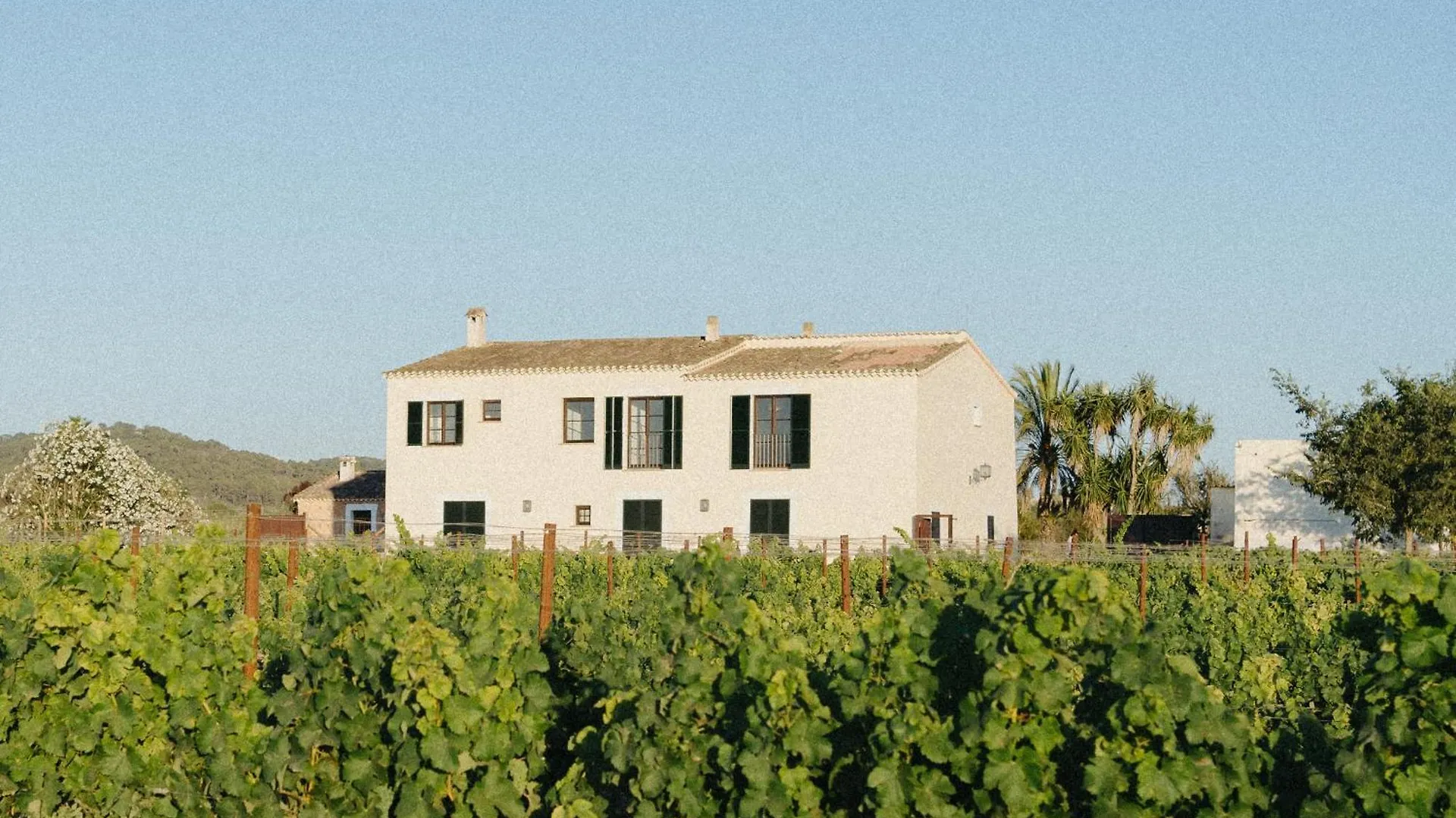 Vino Resort Son Amaret Son Macia  Hotel