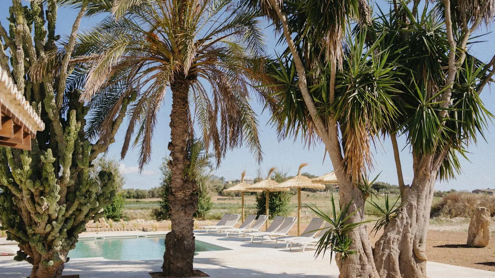 מלון סון מאסיה Vino Resort Son Amaret